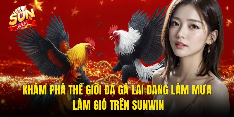 Khám Phá Thế Giới Đá Gà Lai Đang Làm Mưa Làm Gió Trên Sunwin