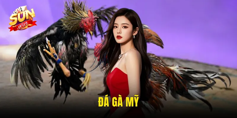 Đá Gà Mỹ