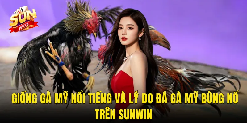 Giống Gà Mỹ Nổi Tiếng Và Lý Do Đá Gà Mỹ Bùng Nổ Trên Sunwin