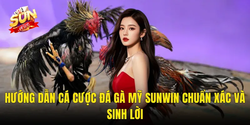 Hướng Dẫn Cá Cược Đá Gà Mỹ Sunwin Chuẩn Xác Và Sinh Lời