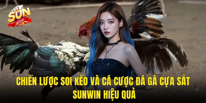Chiến Lược Soi Kèo Và Cá Cược Đá Gà Cựa Sắt Sunwin Hiệu Quả