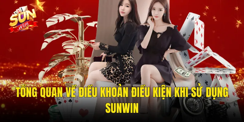 Tổng Quan Về Điều Khoản Điều Kiện Khi Sử Dụng Sunwin
