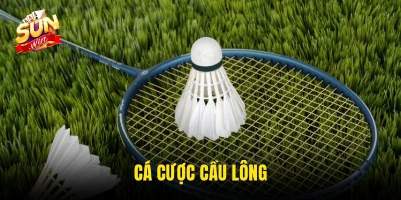 cá cược cầu lông