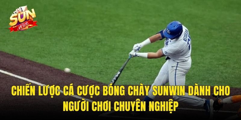 Chiến Lược Cá Cược Bóng Chày Sunwin Dành Cho Người Chơi Chuyên Nghiệp