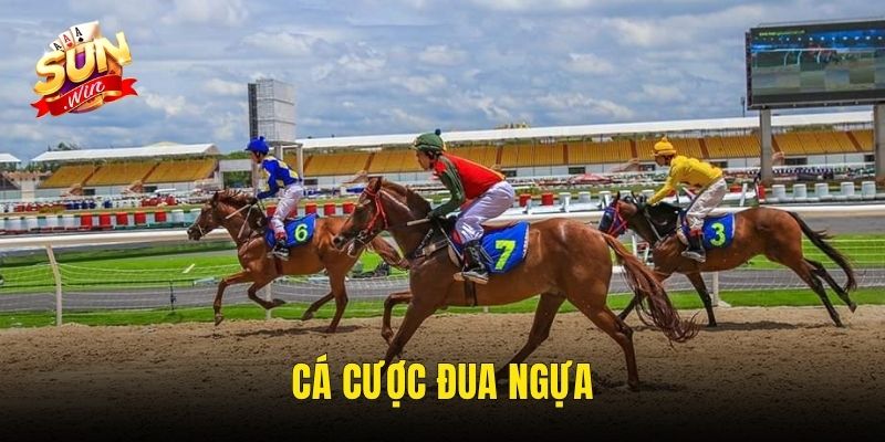 Cá Cược Đua Ngựa