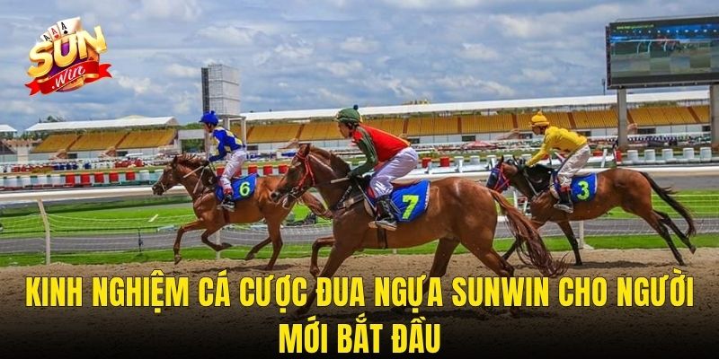 Kinh Nghiệm Cá Cược Đua Ngựa Sunwin Cho Người Mới Bắt Đầu