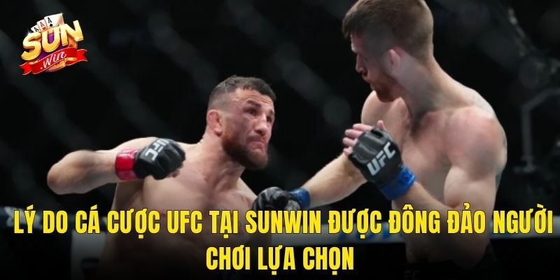 Lý Do Cá Cược UFC Tại Sunwin Được Đông Đảo Người Chơi Lựa Chọn