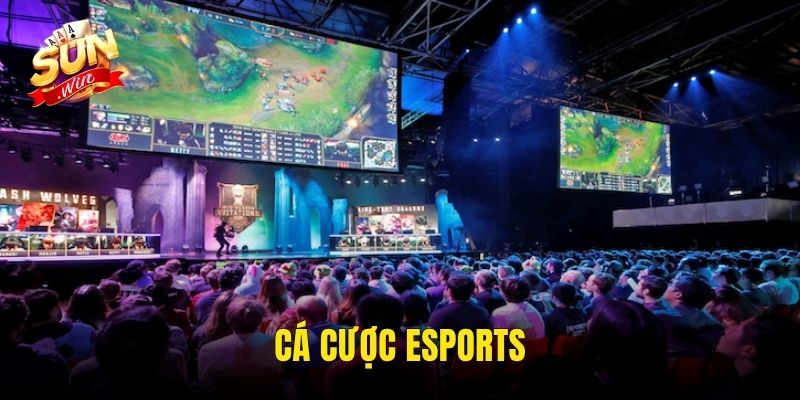 cá cược eSports Sunwin