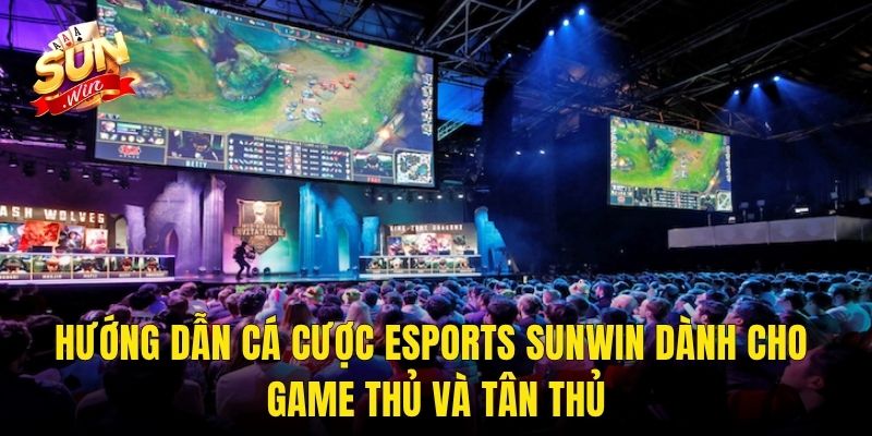 Hướng Dẫn Cá Cược eSports Sunwin Dành Cho Game Thủ Và Tân Thủ