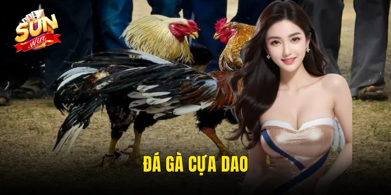 đá gà cựa dao
