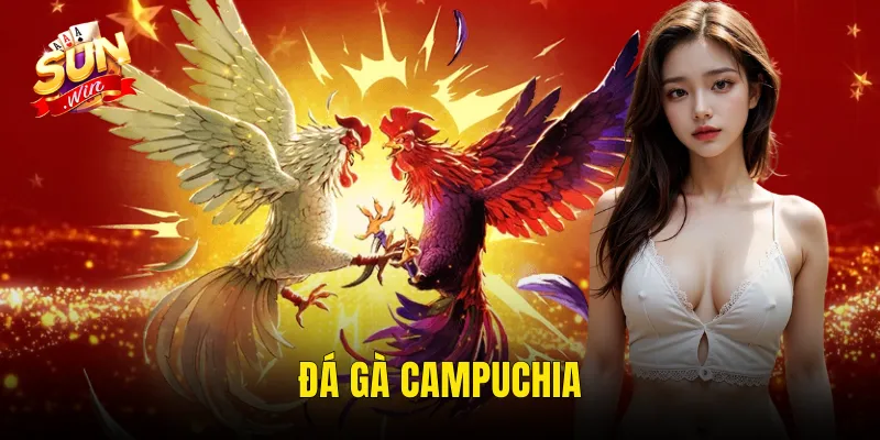 Đá Gà Campuchia