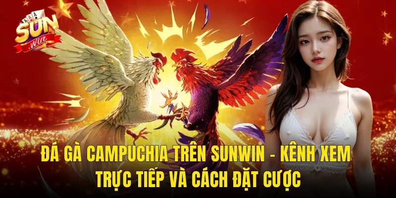 Đá Gà Campuchia Trên Sunwin – Kênh Xem Trực Tiếp Và Cách Đặt Cược