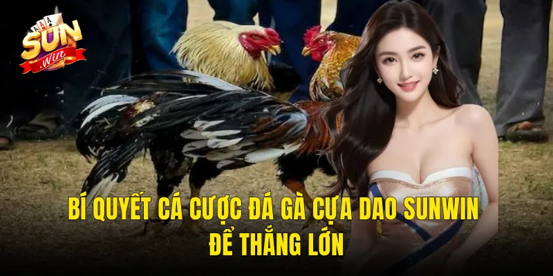Bí quyết cá cược đá gà cựa dao Sunwin để thắng lớn