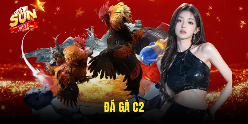 Đá Gà C2