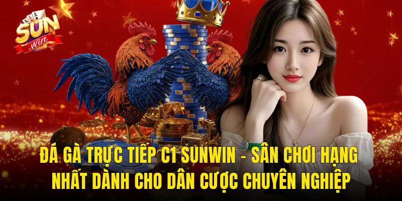 Đá Gà Trực Tiếp C1 Sunwin – Sân Chơi Hạng Nhất Dành Cho Dân Cược Chuyên Nghiệp