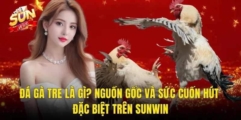 Đá Gà Tre Là Gì? Nguồn Gốc Và Sức Cuốn Hút Đặc Biệt Trên Sunwin