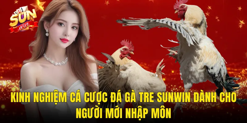 Kinh Nghiệm Cá Cược Đá Gà Tre Sunwin Dành Cho Người Mới